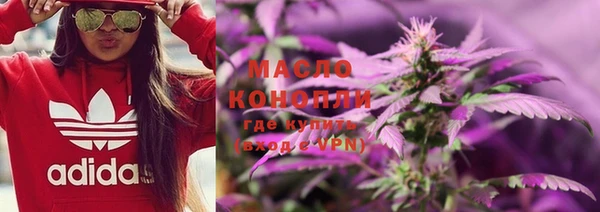 стаф Горняк