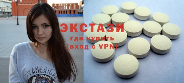 ECSTASY Гусь-Хрустальный