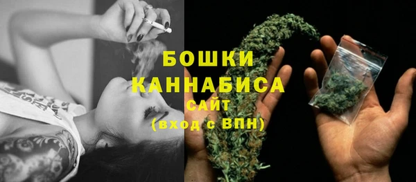 стаф Горняк