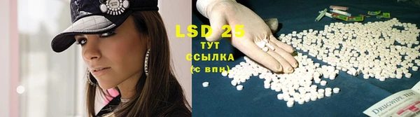 стаф Горняк