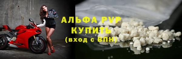 стаф Горняк