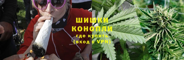 ГАЛЛЮЦИНОГЕННЫЕ ГРИБЫ Вяземский