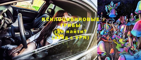 гидра Горнозаводск