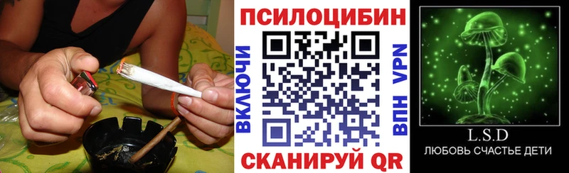 Псилоцибиновые грибы Psilocybine cubensis  купить наркотик  Данков 